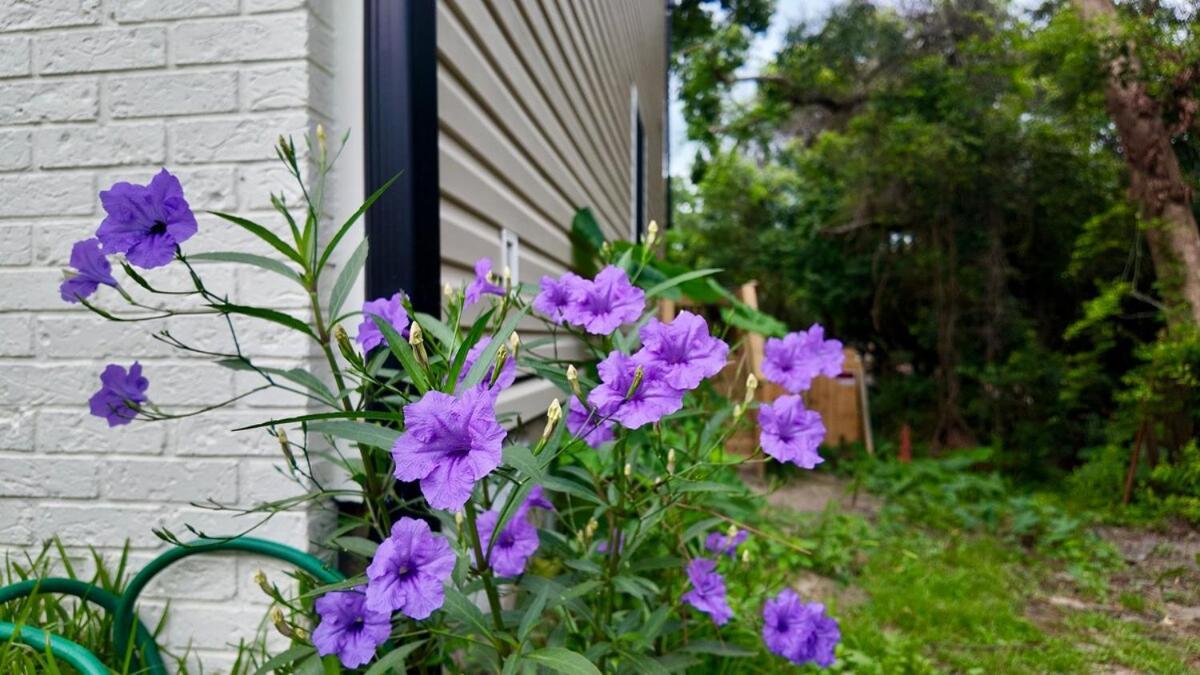 Cozy Townhome Retreat With King Bed Near I-10, Capitol, Fsu & Famu Tallahassee Exterior foto